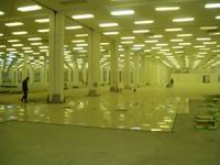 �������� ���� �����������